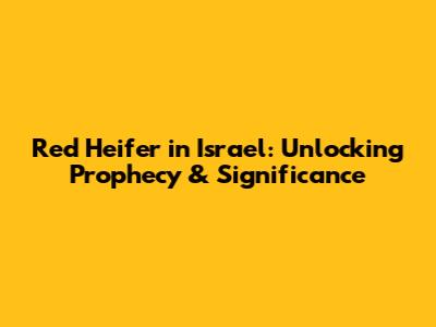 Red Heifer in Israel: Unlocking Prophecy & Significance