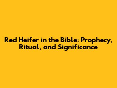 Red Heifer in the Bible: Prophecy, Ritual, and Significance