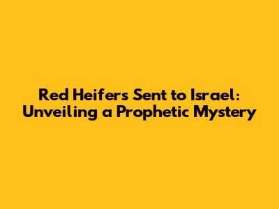 Red Heifers Sent to Israel: Unveiling a Prophetic Mystery