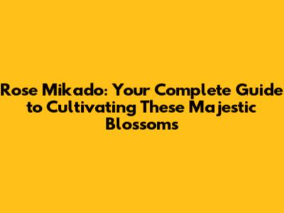 Rose Mikado: Your Complete Guide to Cultivating These Majestic Blossoms