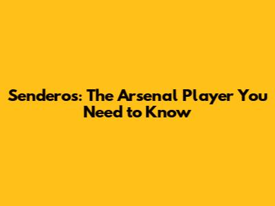 Senderos: The Arsenal Player You Need to Know
