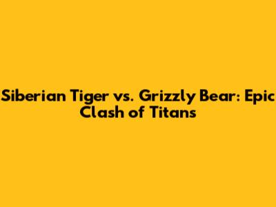 Siberian Tiger vs. Grizzly Bear: Epic Clash of Titans