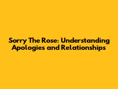Sorry The Rose: Understanding Apologies and Relationships