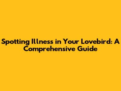 Spotting Illness in Your Lovebird: A Comprehensive Guide