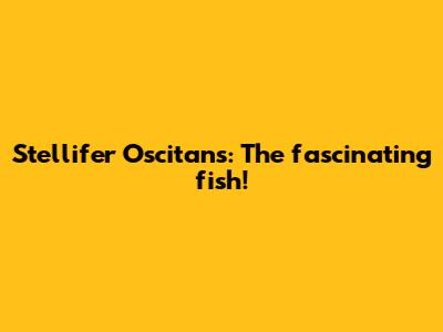 Stellifer Oscitans: The fascinating fish!