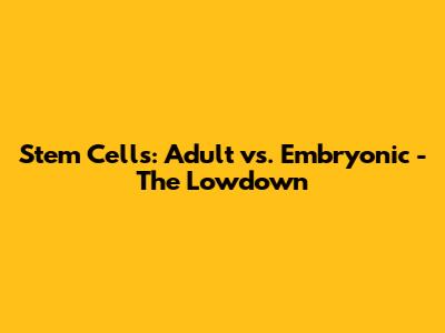 Stem Cells: Adult vs. Embryonic - The Lowdown