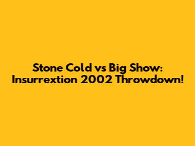 Stone Cold vs Big Show: Insurrextion 2002 Throwdown!