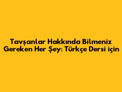 Tavşanlar Hakkında Bilmeniz Gereken Her Şey: Türkçe Dersi için