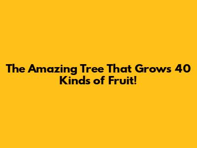The Amazing Tree That Grows 40 Kinds of Fruit!