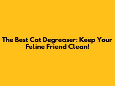 The Best Cat Degreaser: Keep Your Feline Friend Clean!