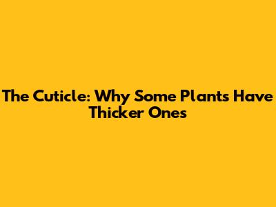 The Cuticle: Why Some Plants Have Thicker Ones