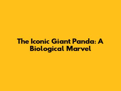 The Iconic Giant Panda: A Biological Marvel