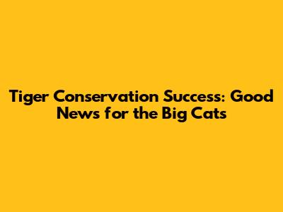 Tiger Conservation Success: Good News for the Big Cats