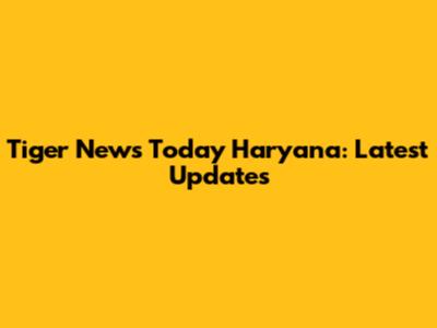 Tiger News Today Haryana: Latest Updates