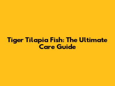 Tiger Tilapia Fish: The Ultimate Care Guide
