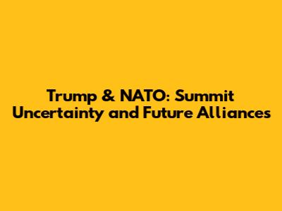 Trump & NATO: Summit Uncertainty and Future Alliances