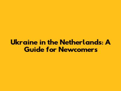 Ukraine in the Netherlands: A Guide for Newcomers