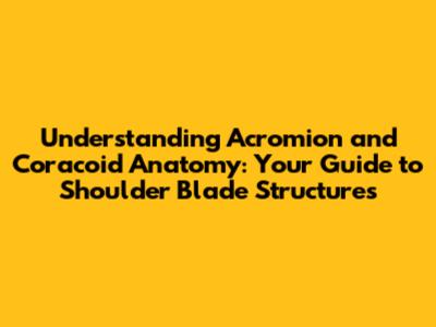 Understanding Acromion and Coracoid Anatomy: Your Guide to Shoulder Blade Structures