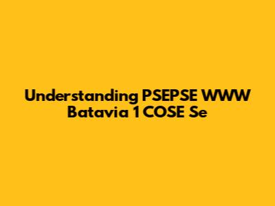Understanding PSEPSE WWW Batavia 1 COSE Se