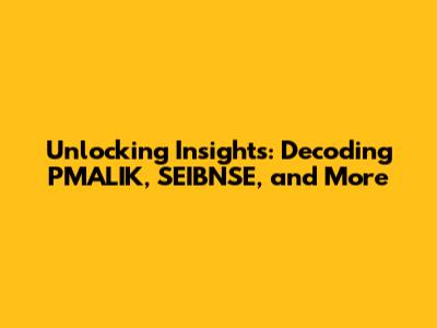 Unlocking Insights: Decoding PMALIK, SEIBNSE, and More
