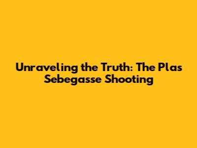 Unraveling the Truth: The Plas Sebegasse Shooting