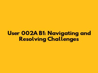 User 002A B1: Navigating and Resolving Challenges