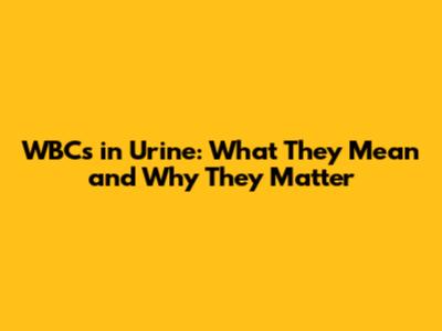 WBCs in Urine: What They Mean and Why They Matter