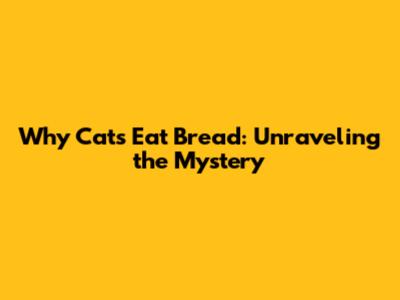 Why Cats Eat Bread: Unraveling the Mystery