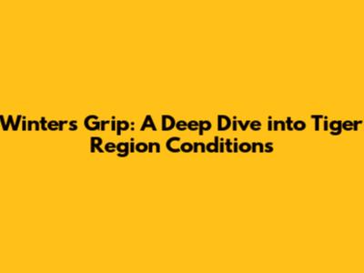 Winter's Grip: A Deep Dive into Tiger Region Conditions