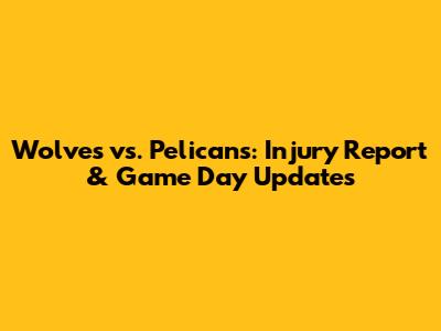 Wolves vs. Pelicans: Injury Report & Game Day Updates